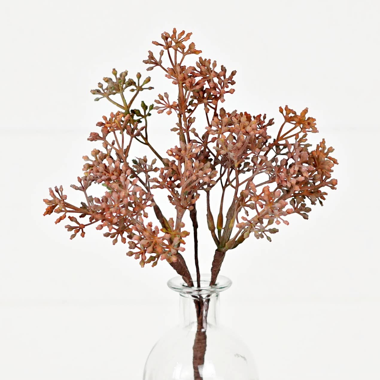 13inL Eucalyptus Seeds Bush