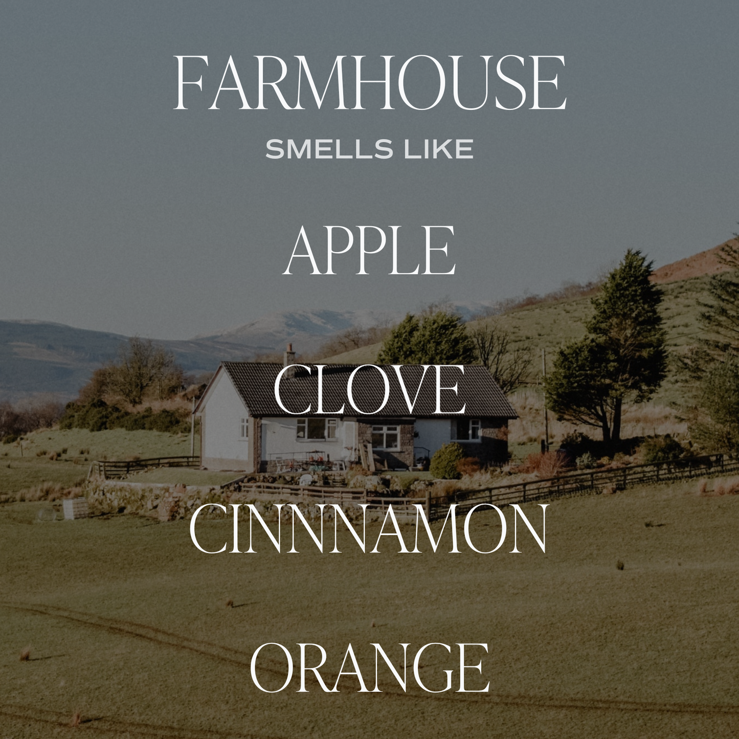 Farmhouse Amber Reed Diffuser - Fall Home Decor & Gifts
