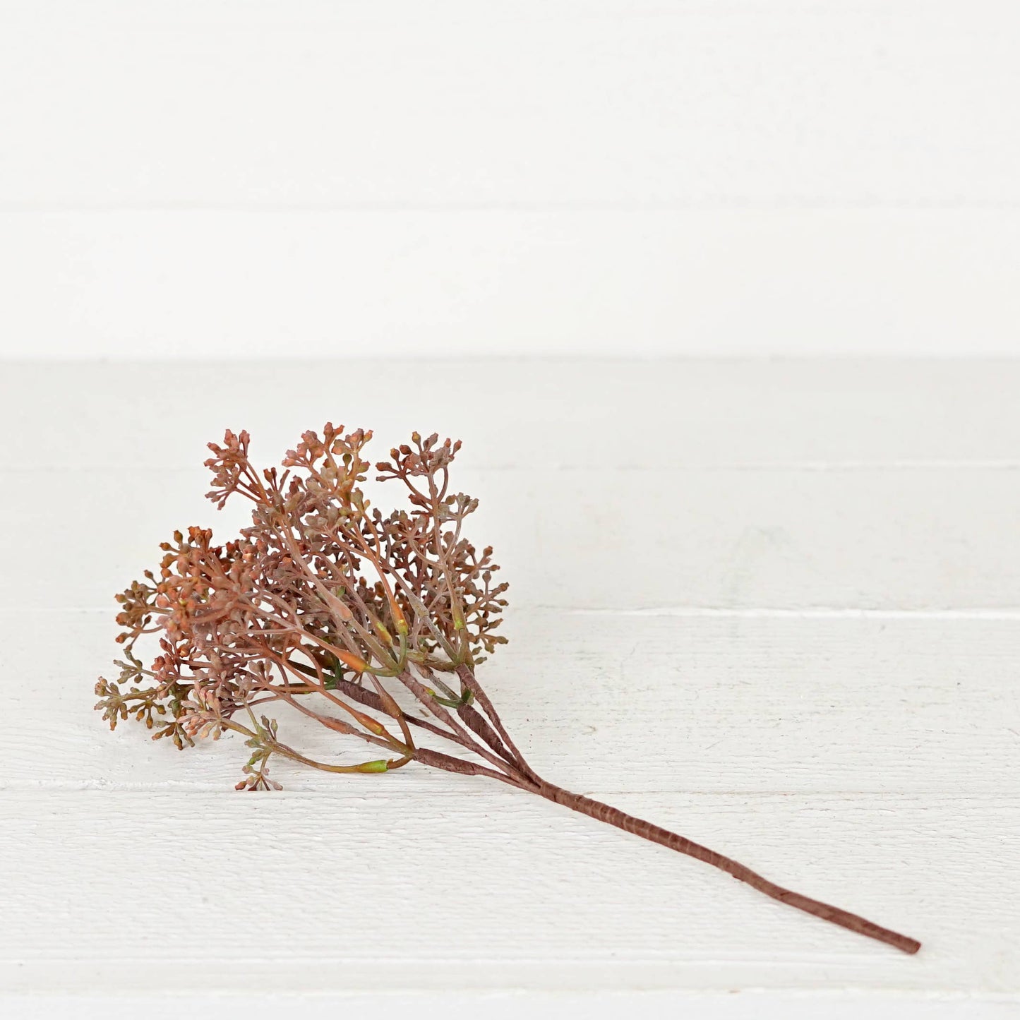 13inL Eucalyptus Seeds Bush