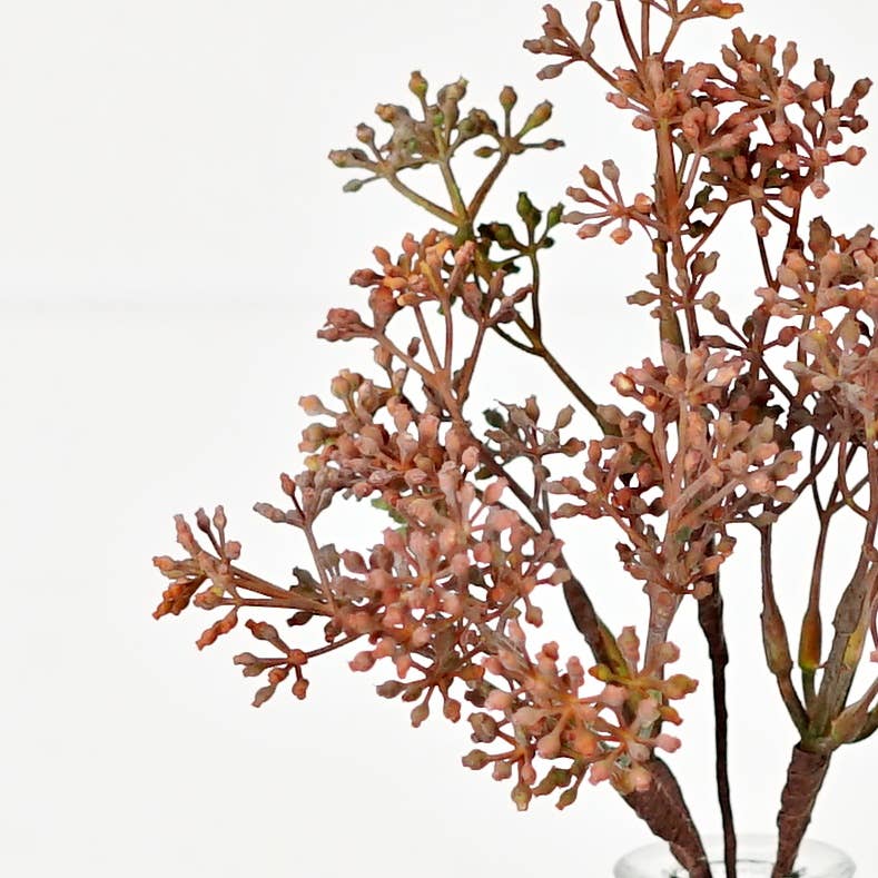 13inL Eucalyptus Seeds Bush