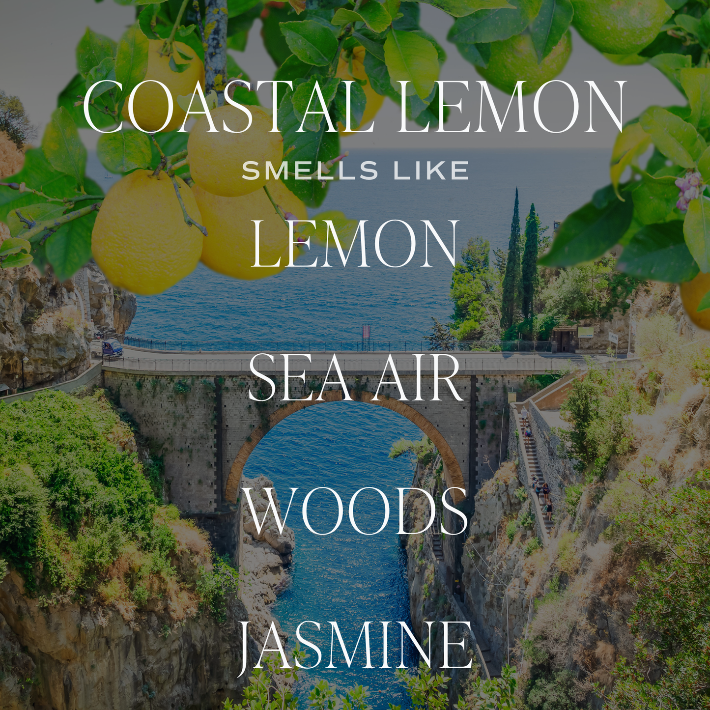 *NEW* Coastal Lemon Reed Diffuser - Gifts & Home Decor