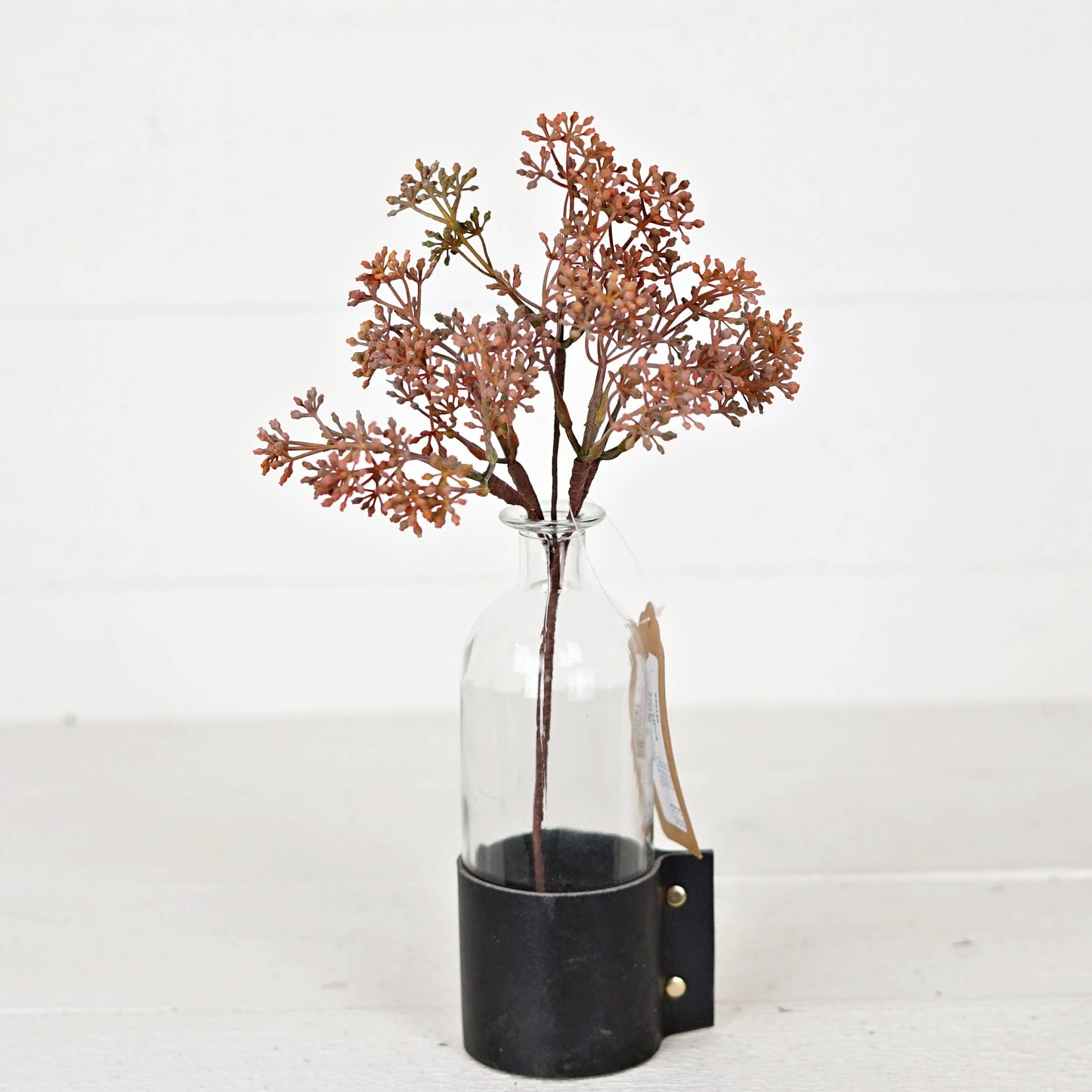 13inL Eucalyptus Seeds Bush