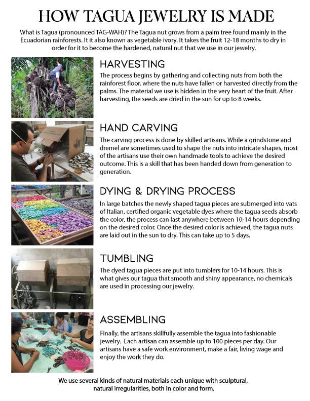 Tagua Marketing Flyer