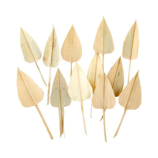 Palm Arrow Leaves