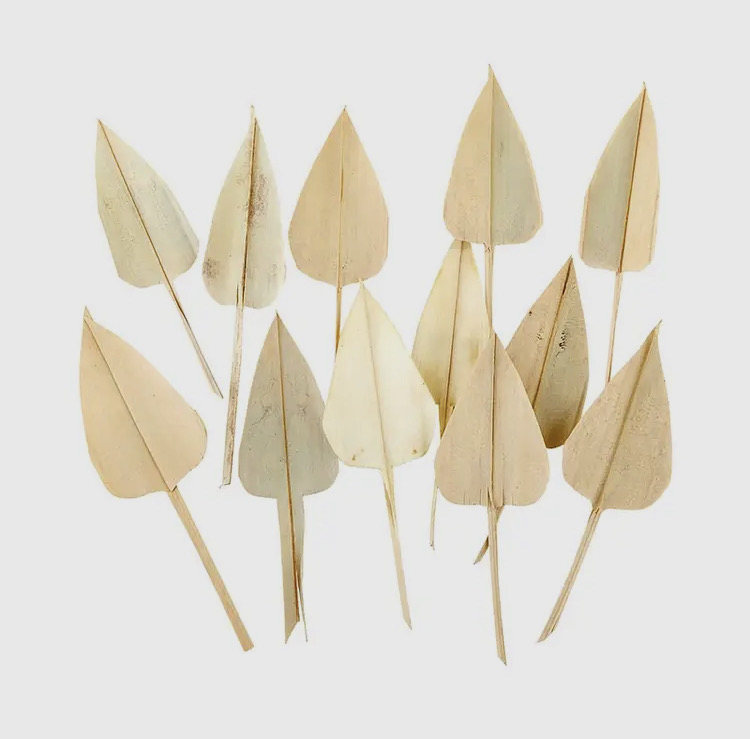 Palm Arrow Leaves Packs. Botanical Decor