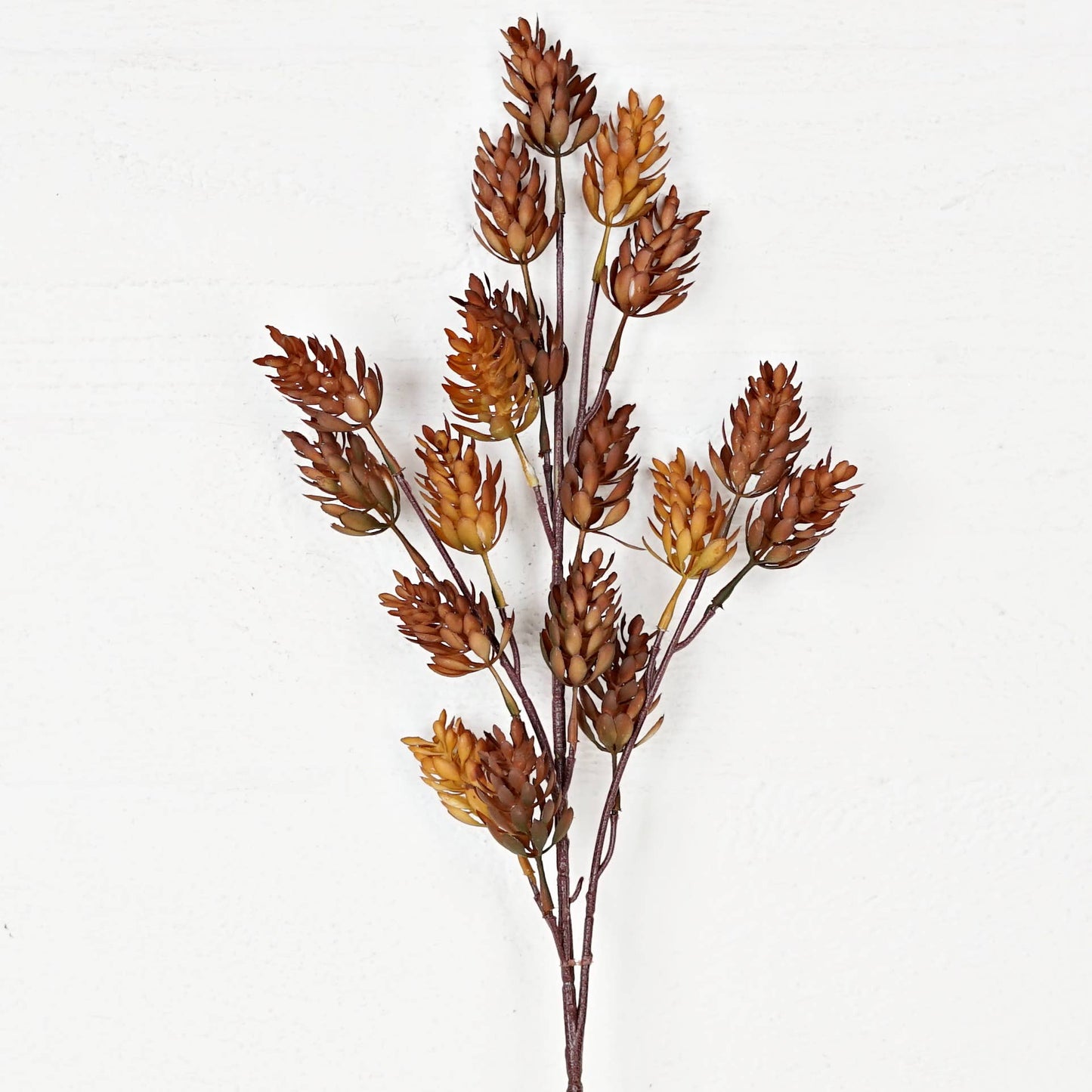 530135- 24in Spray-Fall Mix Hops-