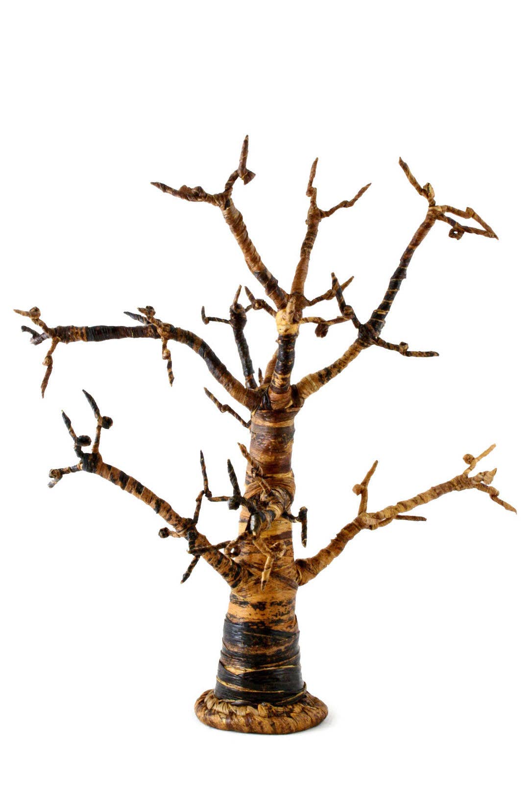 Savanna Banana Fiber Tree: Large