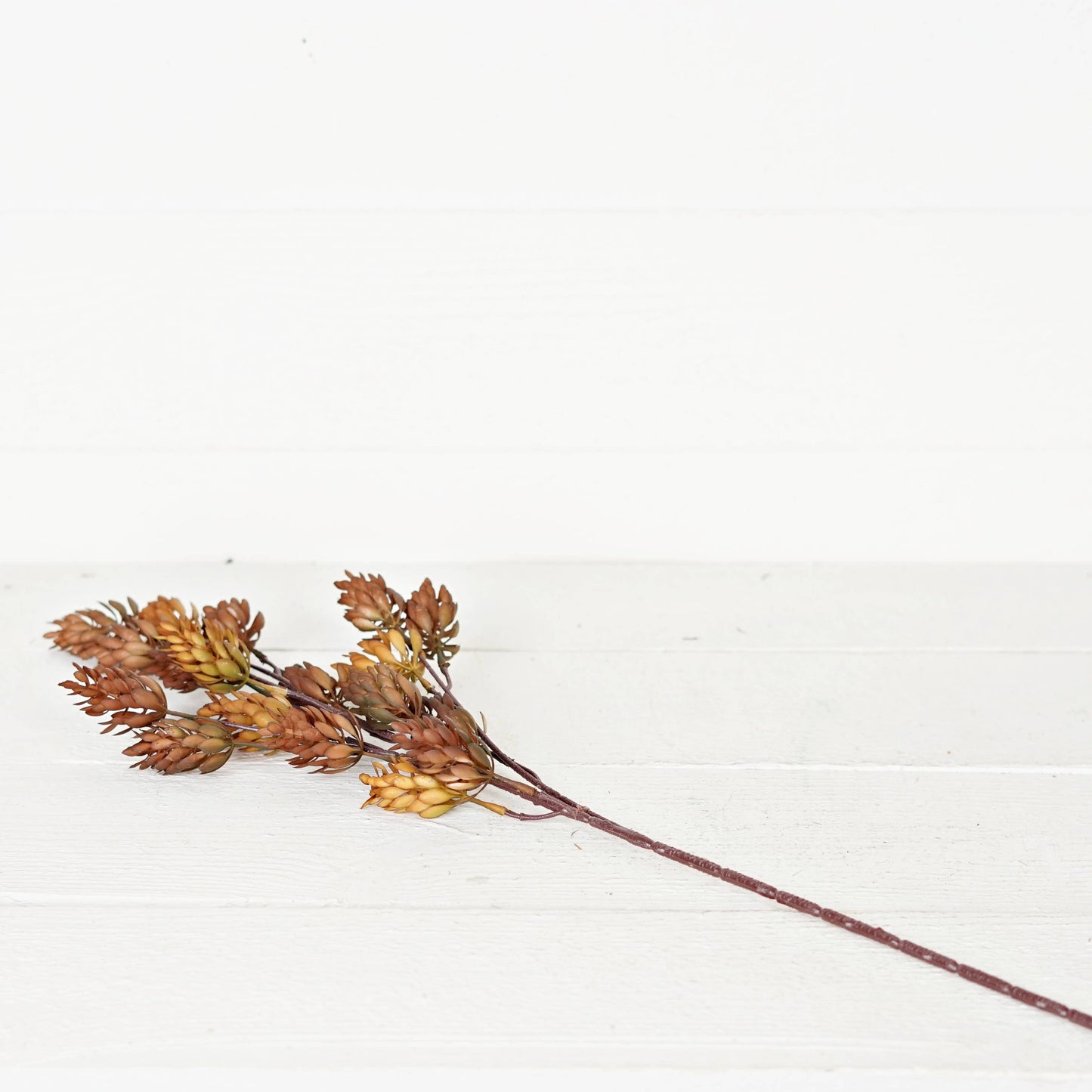 530135- 24in Spray-Fall Mix Hops-