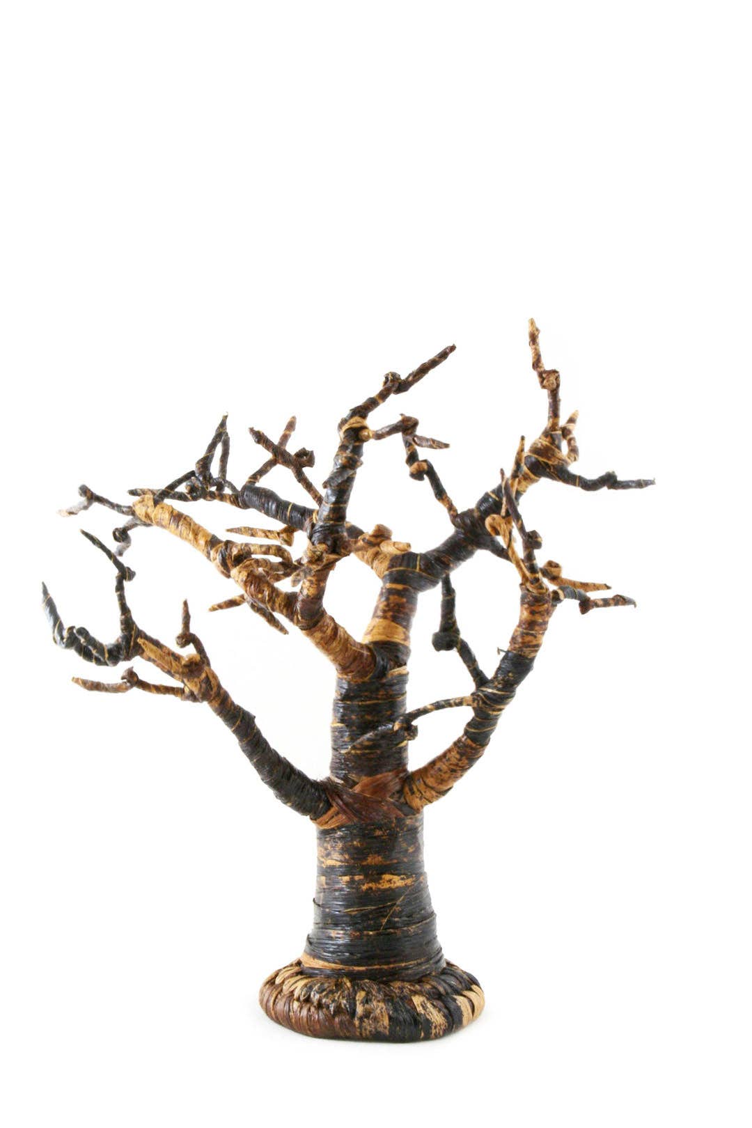 Savanna Banana Fiber Tree: Large