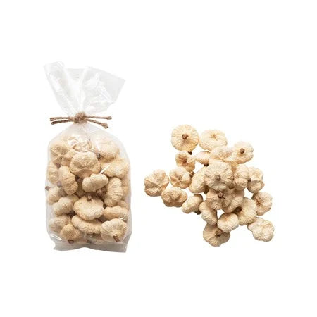 Dried Natural Pumpkin Pods in a Bag.