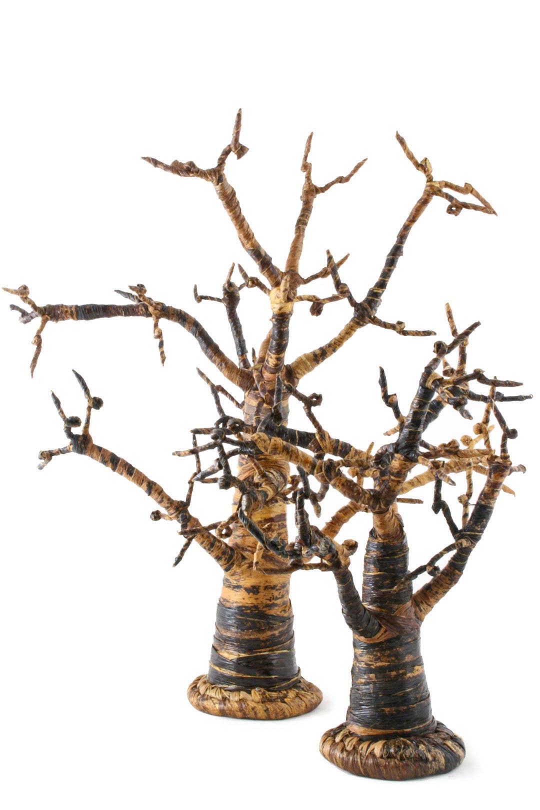 Savanna Banana Fiber Tree: Large