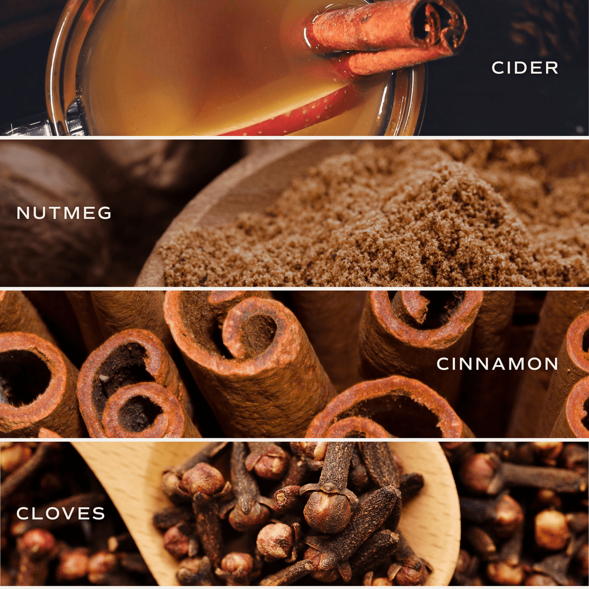 *NEW* Hello Fall Reed Diffuser - Fall Decor & Gifts
