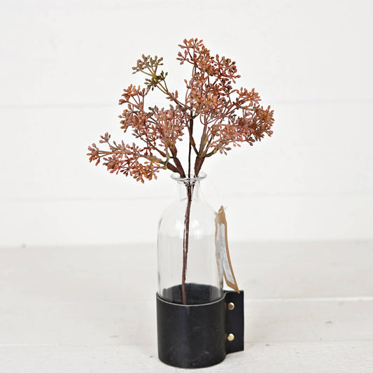 13inL Eucalyptus Seeds Bush